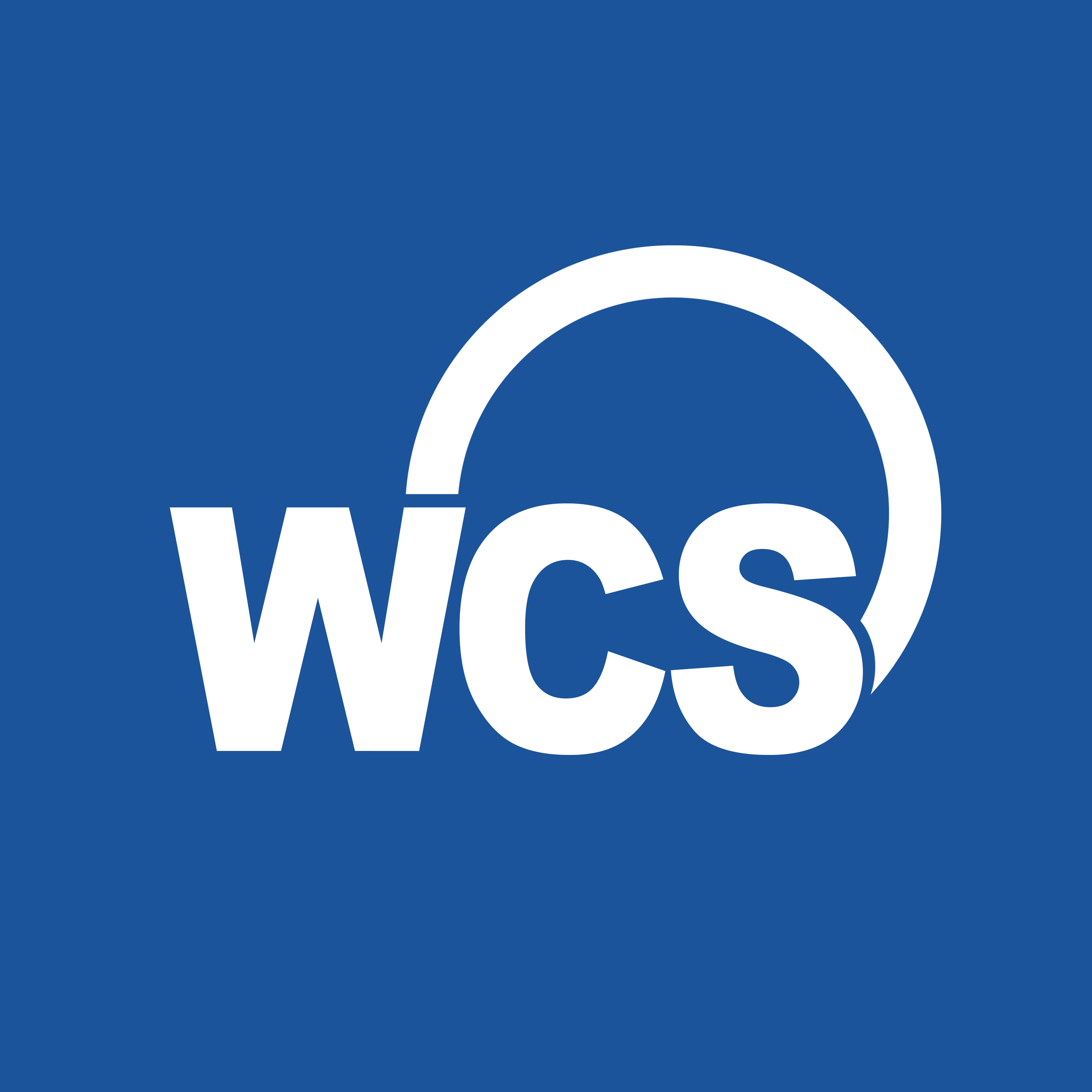 World Computer System